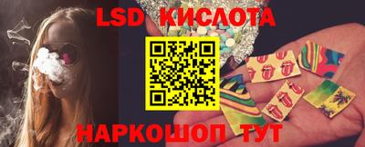 гидра Будённовск