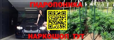 гидра Будённовск