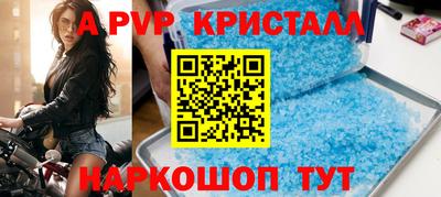 гидра Будённовск