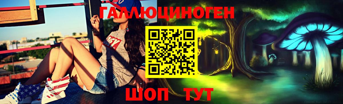 Дальнегорск  Псилоцибиновые грибы MAGIC MUSHROOMS  Вход с VPN 
